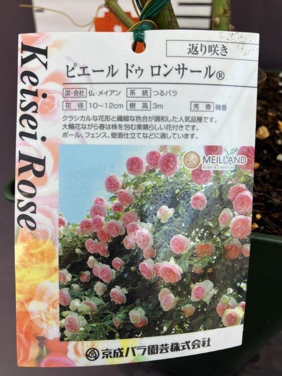 クリスチャンディオール　フラワーリース　薔薇ピエールドロンサール