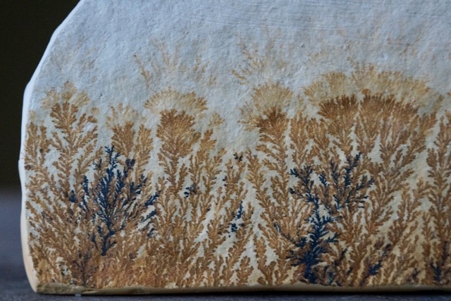 デンドライト 忍石 Dendritic limestone  ⑮