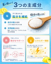 sinca.ism 塩レモンゼリー 15g× 30包入