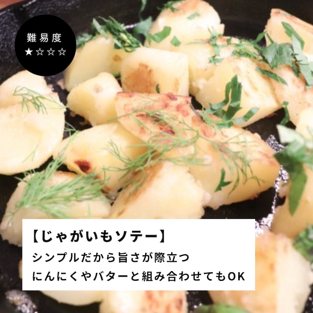 白山麓の塩こうじ 240g 瓶
