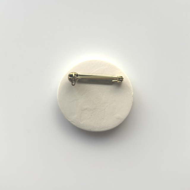 #25028 ブローチ/雰囲気の化石 Brooch/Atmospheric Fossil
