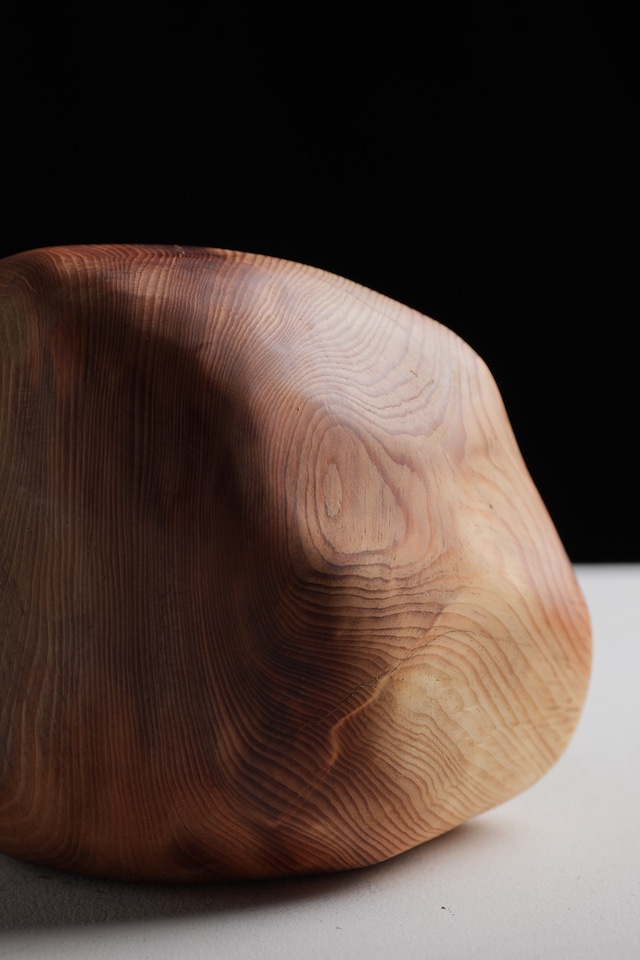 木の石 “wood stone” M ①