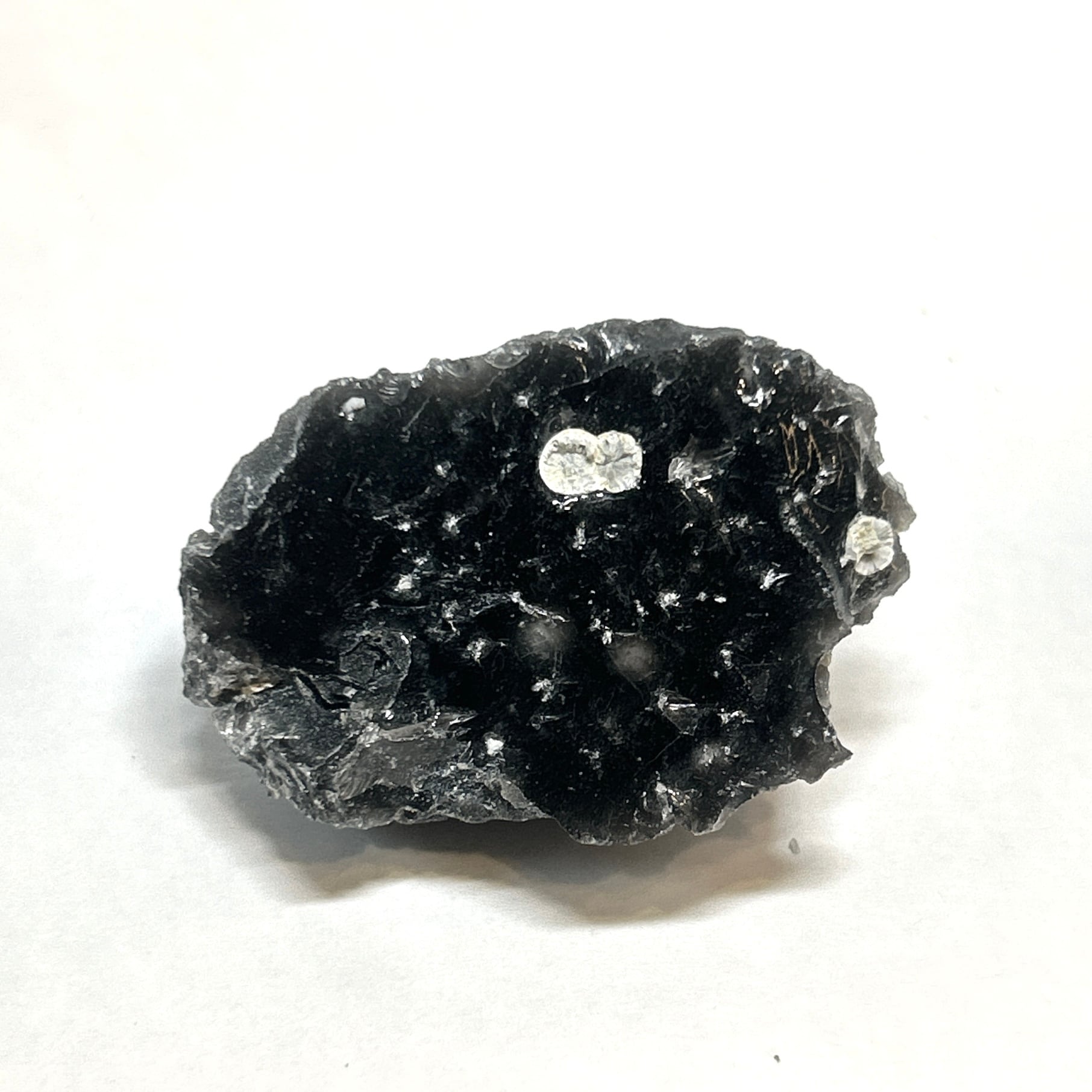 ⭐テクタイト（隕石起源の天然ガラス） | クリスタル・ワールド御徒町店