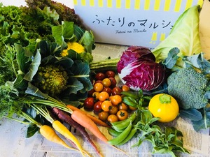 ふたりのマルシェ　季節の彩り野菜セットSサイズ【全国発送】★ギフト・ご褒美向け★