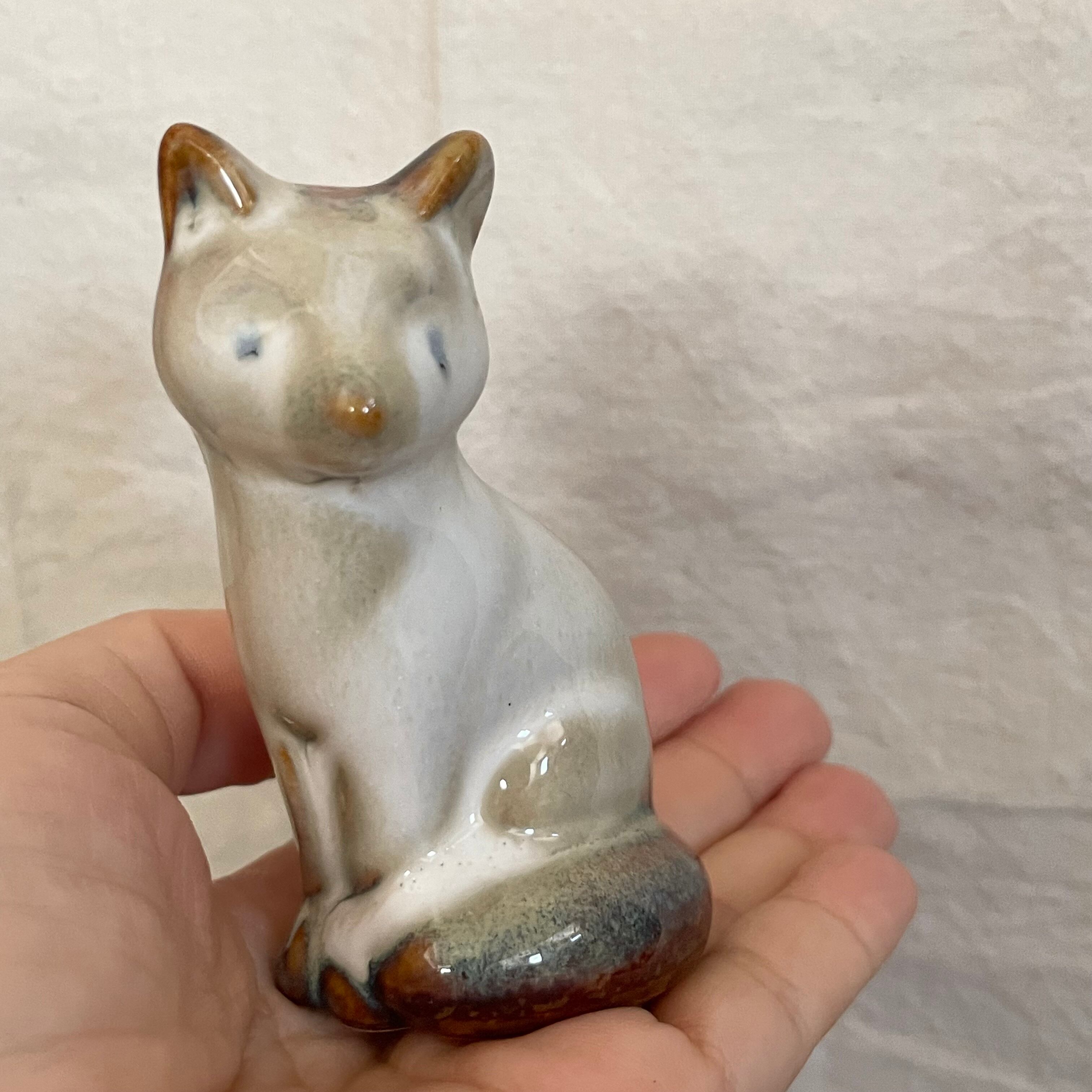 不思議な色のネコ