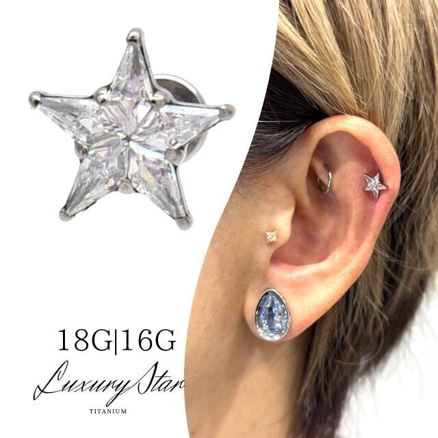 星ピアス 18G 16G 14G BIG スター 金属アレルギー対応 チタンピアス
