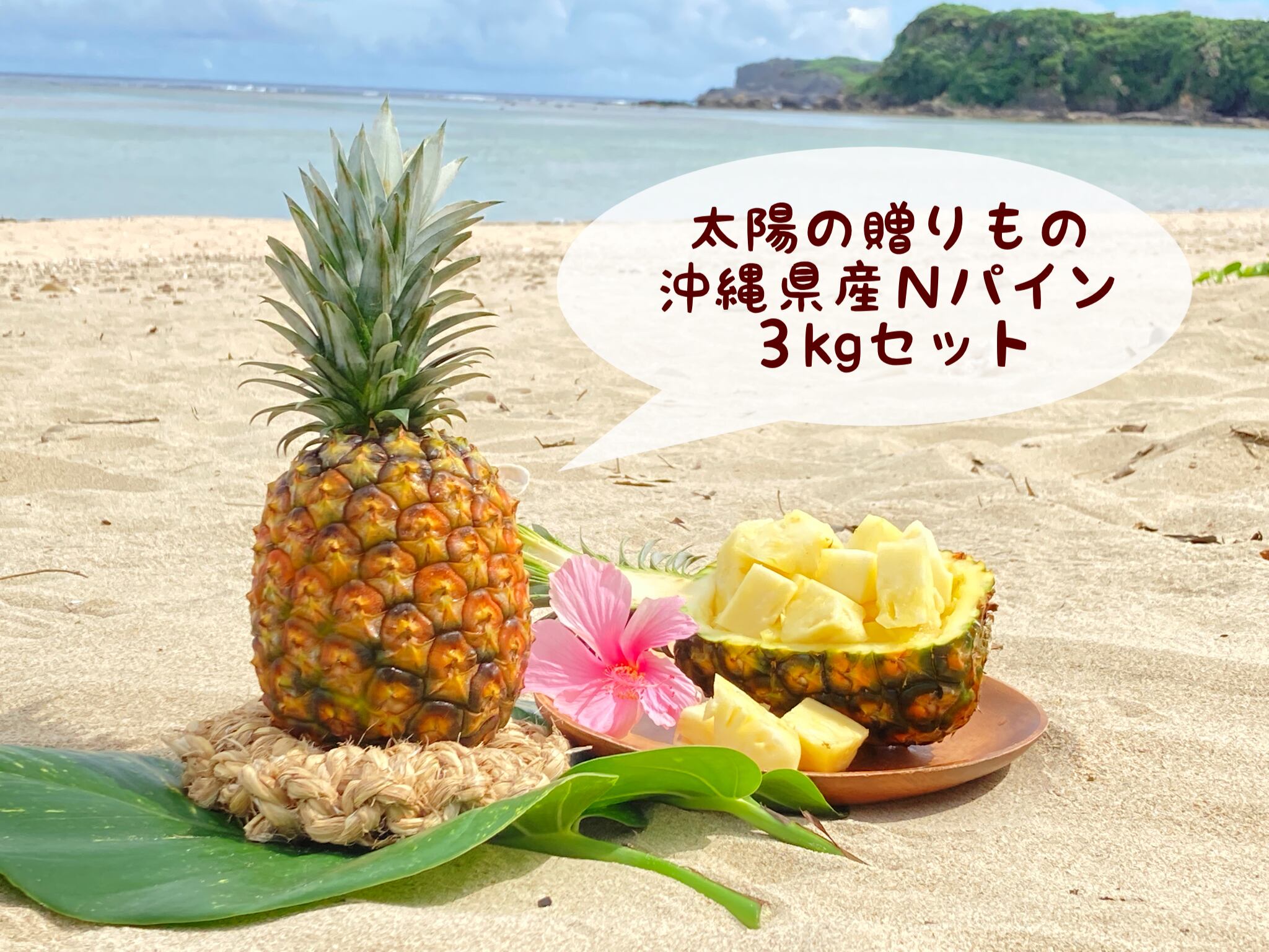 2026年8月発送】太陽の贈りもの｜沖縄パイン（Nパイン）3kgセット