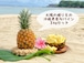 【2024年8月発送】太陽の贈りもの｜沖縄パイン（Nパイン）3kgセット