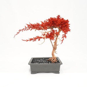 【ART MIX BONSAI】鉢No.15