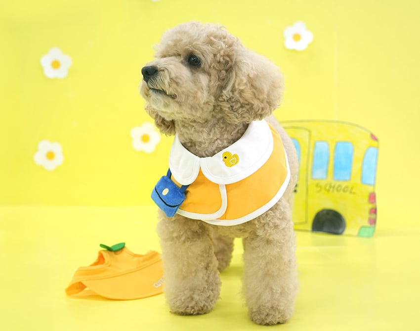 kindergarden cape & ball cap set 2color / 犬用 帽子 幼稚園 ケープ バンダナ スカーフ アクセサリー ドッグウェア ペット用 cap 被り物 お揃い お出かけ お揃い 撮影会 ban18