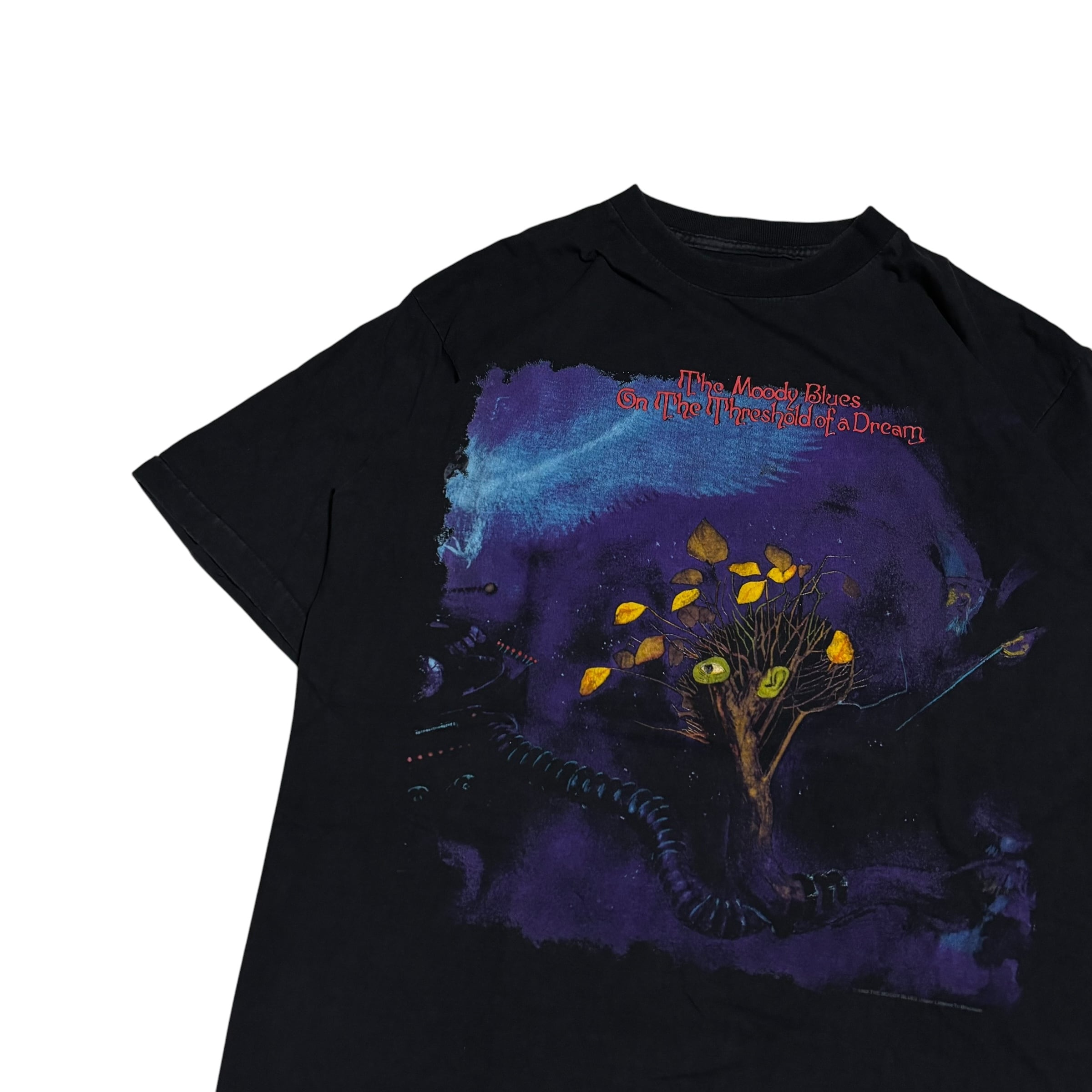 90s The Moody Blues ヴィンテージ Tシャツ 90s The Moody Blues On the Threshold of a Dream tシャツ ムーディー