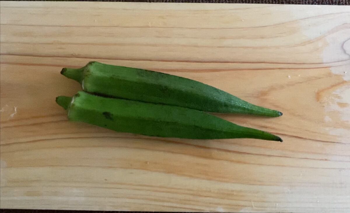 おうちで本格的な手すき和紙を作ろうキット
