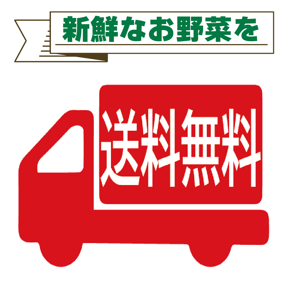 【お試し1 回】野菜の詰め合わせ ラージサイズ