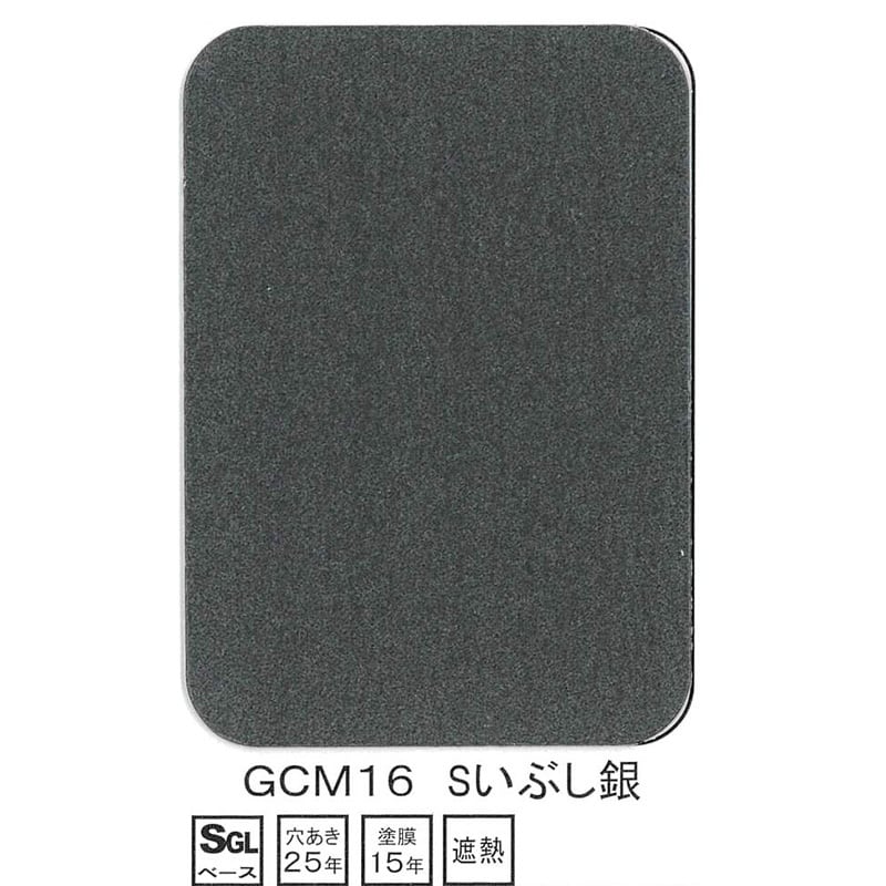 ARM保護キャップ（ニスクカラーPro 艶消し GCM16 Sいぶし銀） | PAY ID