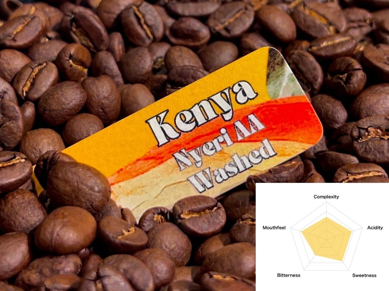 Kenya Nyeri AA Washed｜Medium Dark Roast