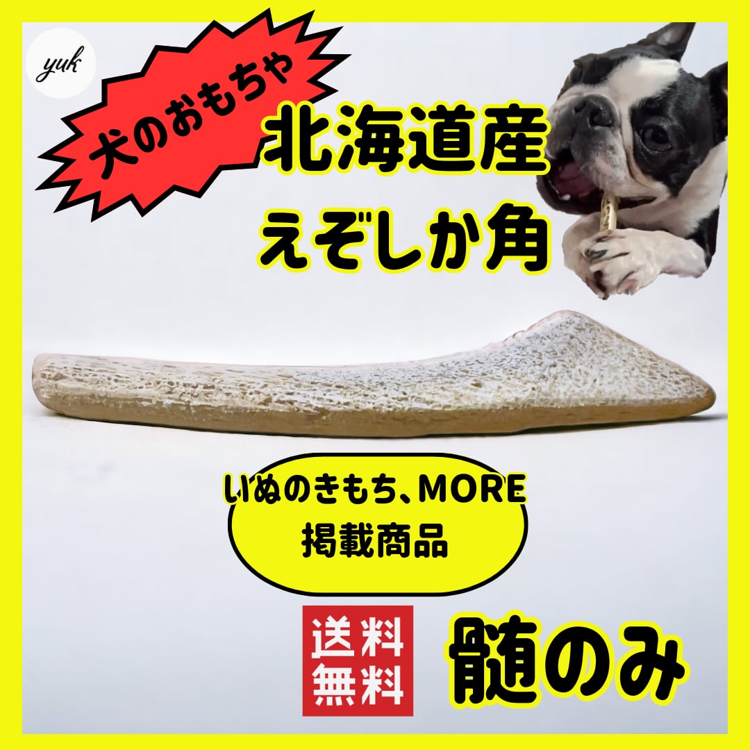 大阪正規品 ツマッキー様専用 蝦夷鹿の角10本 | magkin.org