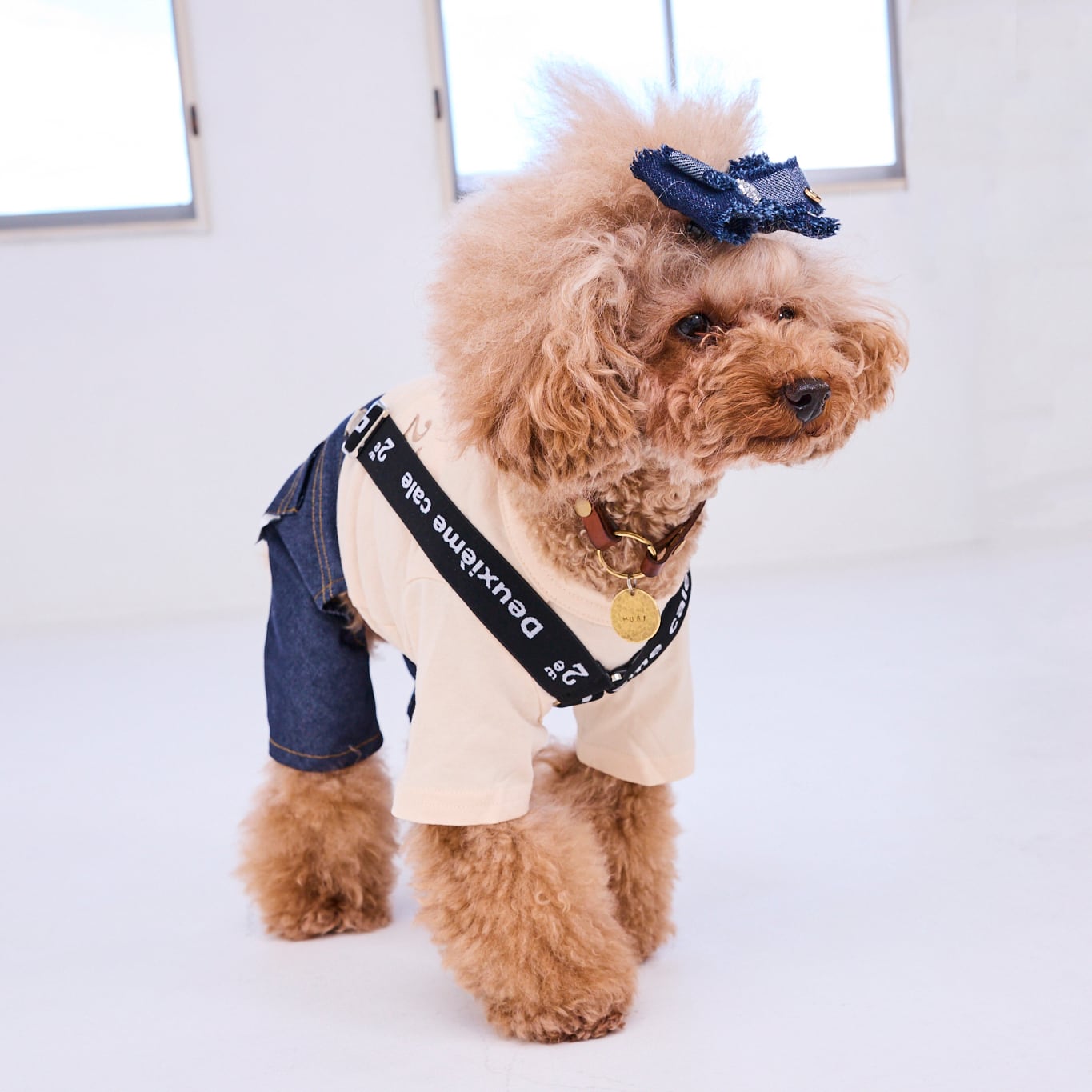 244415] サスペンダー | 犬服ブランド 2e deuxieme cale | おしゃれな