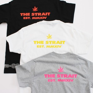 CHRONIC T-SH #T.GRAY
