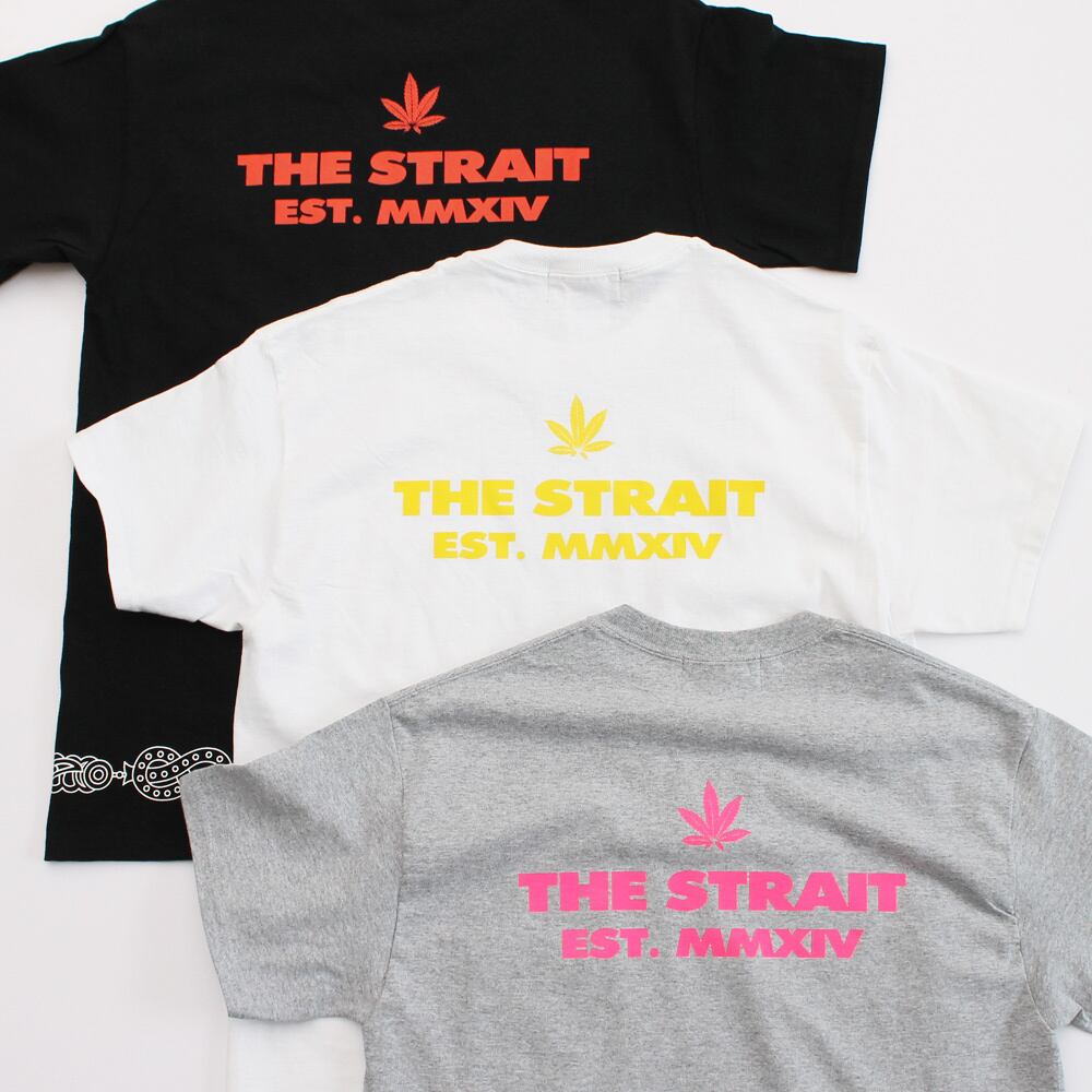 CHRONIC T-SH #T.GRAY