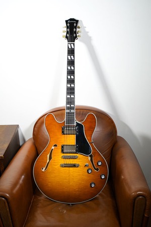 EASTMAN " T486 / Golden Burst "