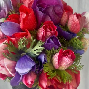 【お宝商品　即出荷】　アネモネ　モナリザ　30本