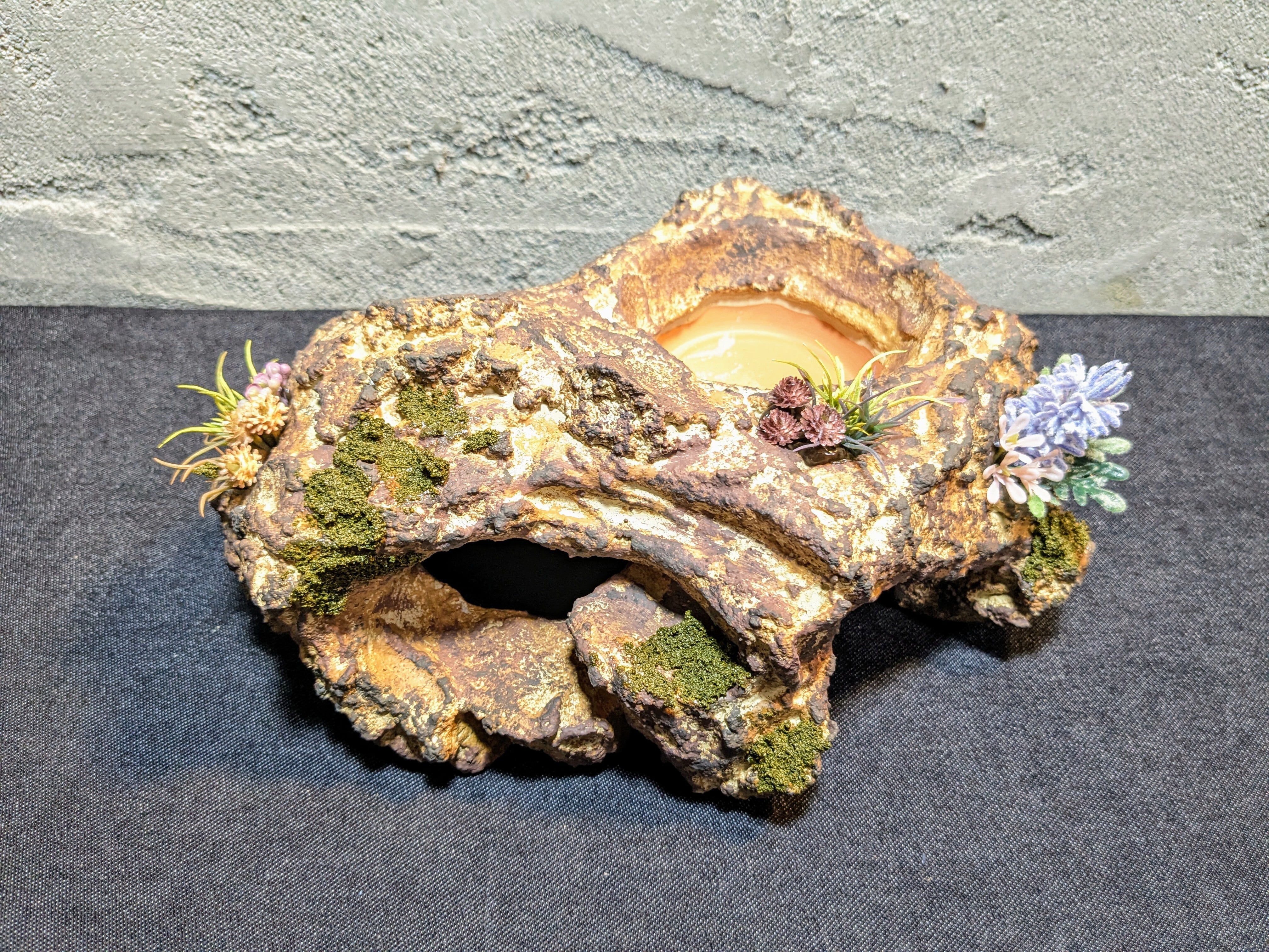 爬虫類用造形アート ともえ屋