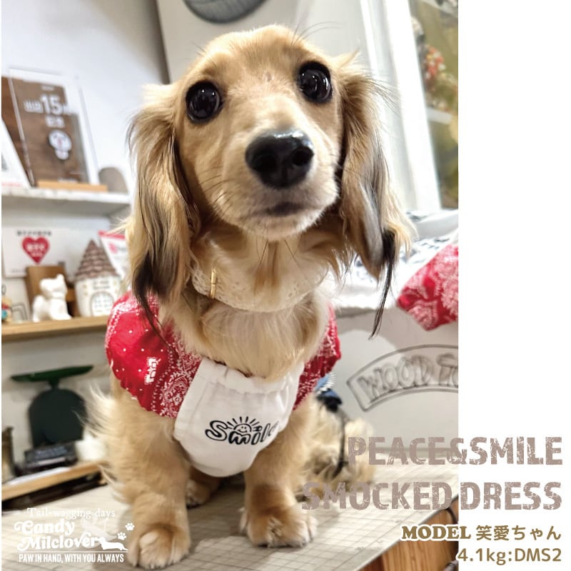 犬服・アクセサリー pp* closet COUNTRY BASIC BLOUSE 犬服・アクセサリー pp* closet COUNTRY BASIC BLOUSE 4/30(火