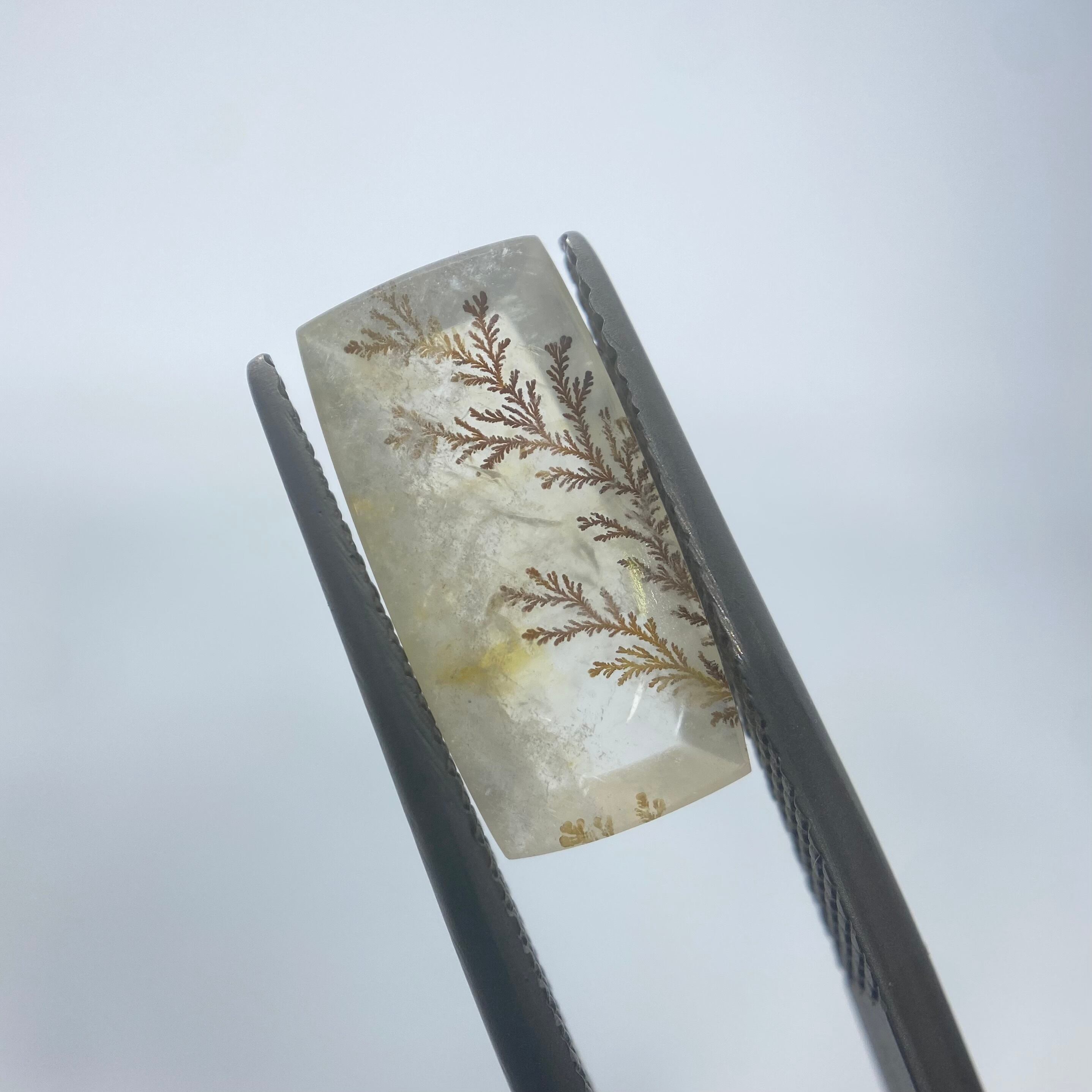 インスタライブでご紹介　デンドリティッククオーツ