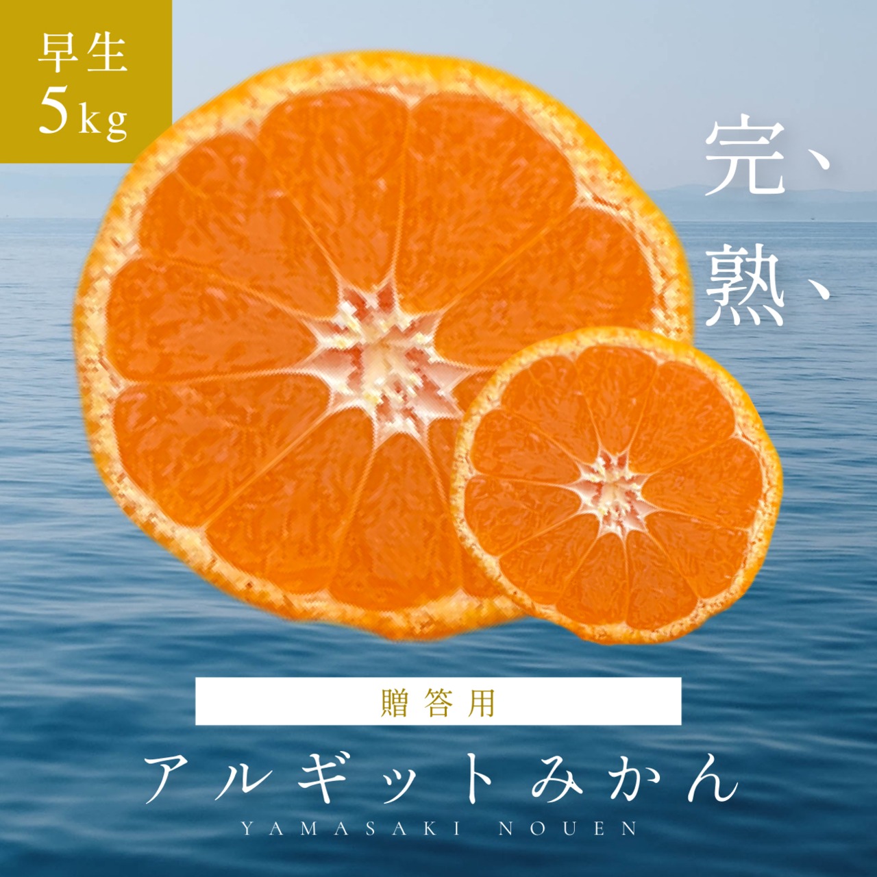 【贈答用】完熟アルギットみかん 約5kg（早生）／※のし対応可