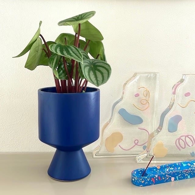 ceramic pot FARM 