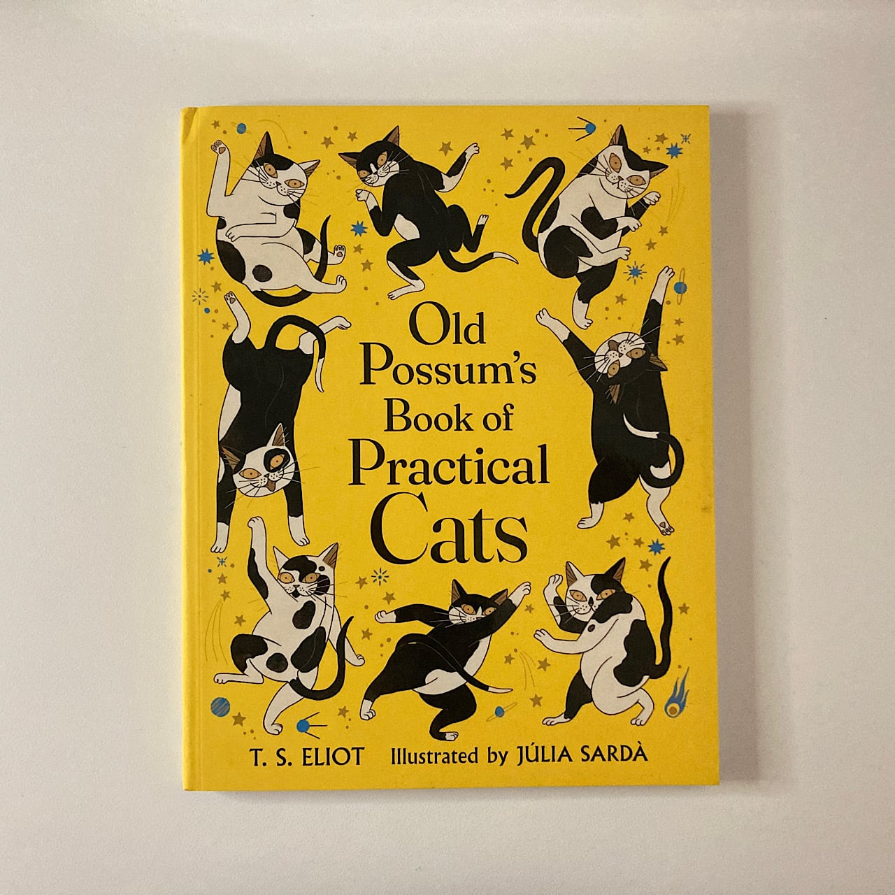 Cold Water Souls 洋書:ペーパーバック Cold Water Souls 洋書:ペーパーバック