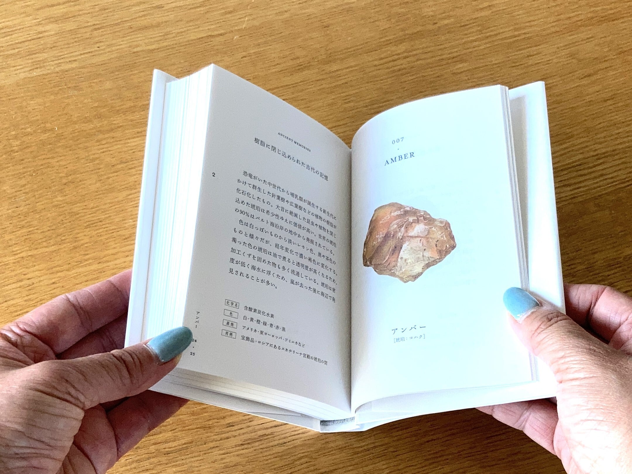 石の辞典 | かざりすの森