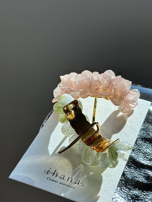 hydrangea ponyhook