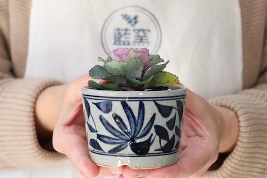 植木鉢（菊唐草） 藍窯