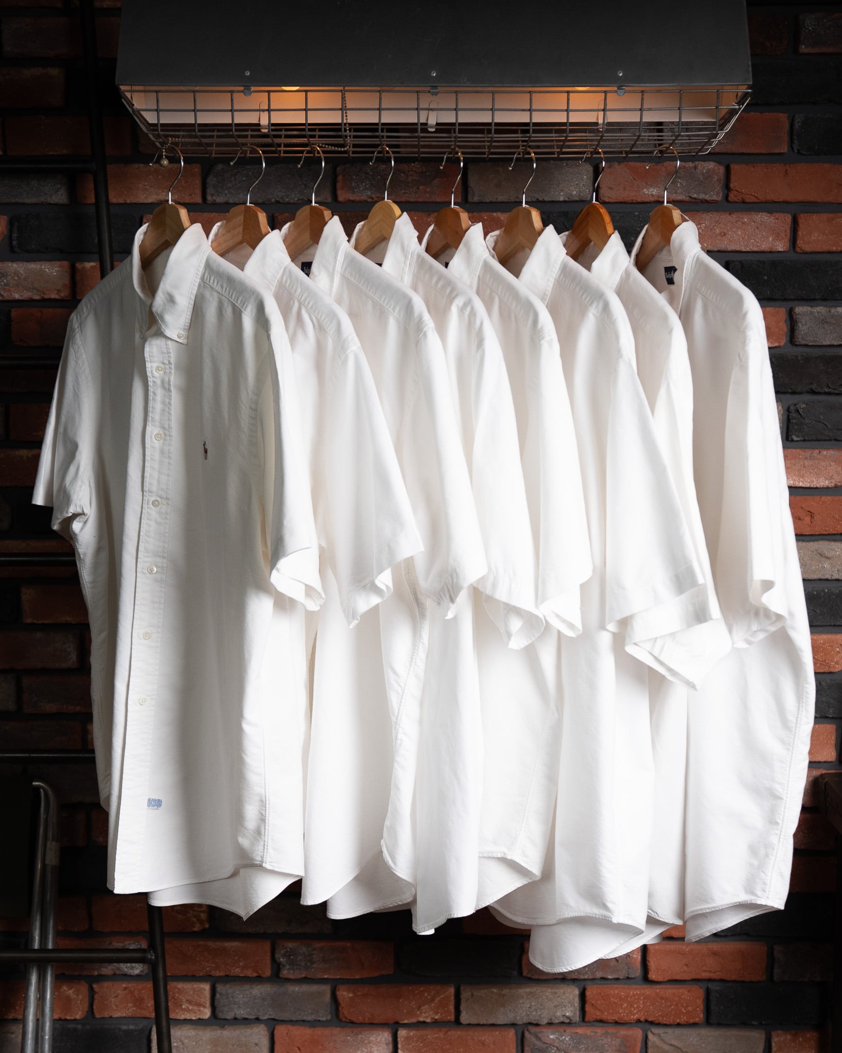 LARGE】Ralph Lauren Short Sleeve Cotton BD Shirt ラルフローレン