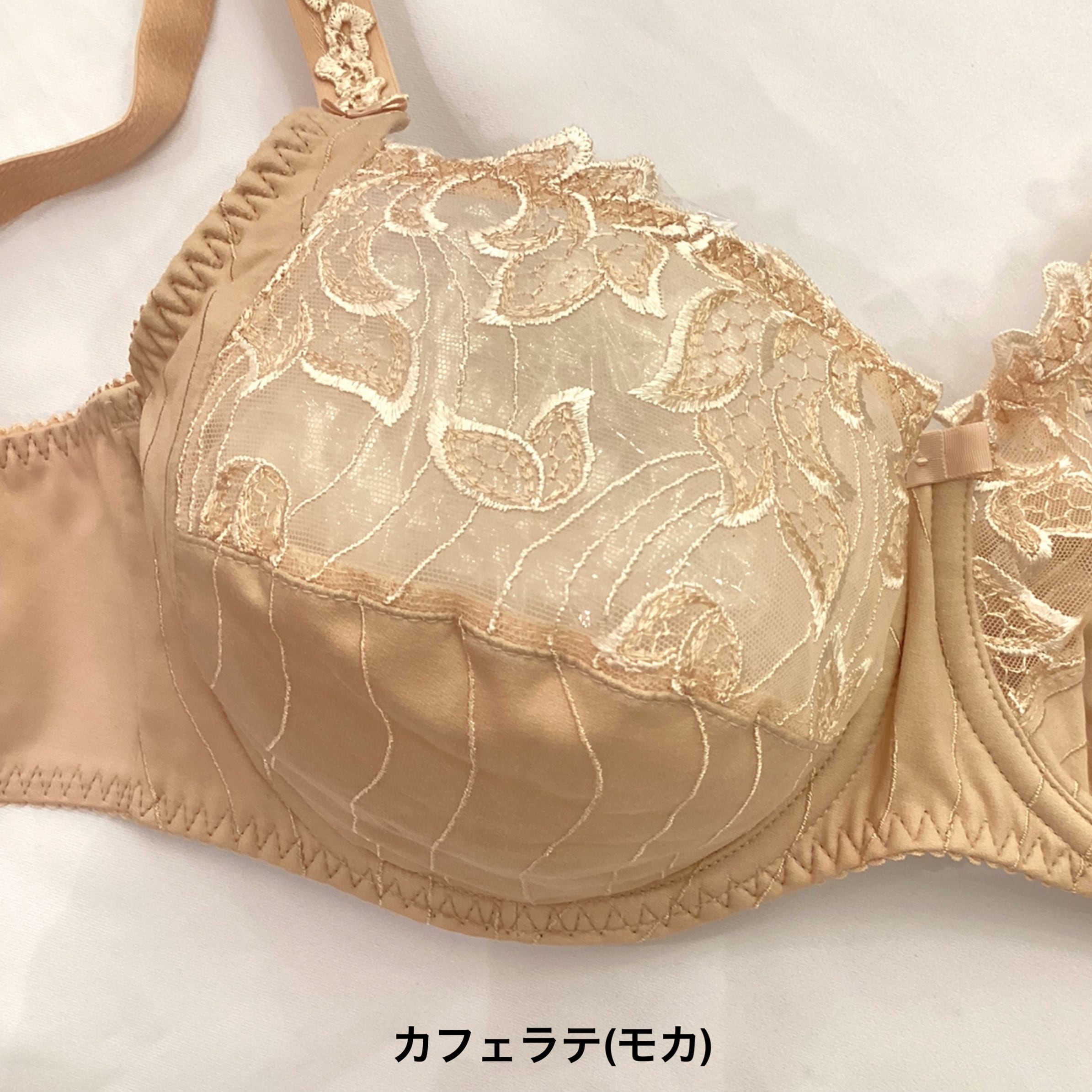 その他プリマドンナ　ブラジャー 75 E