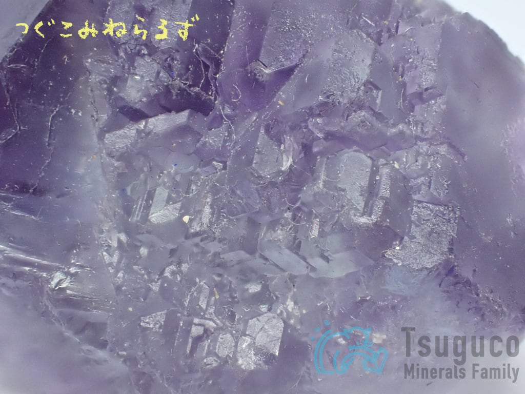 フローライト 蛍石 Fluorite 中国 TM-0009