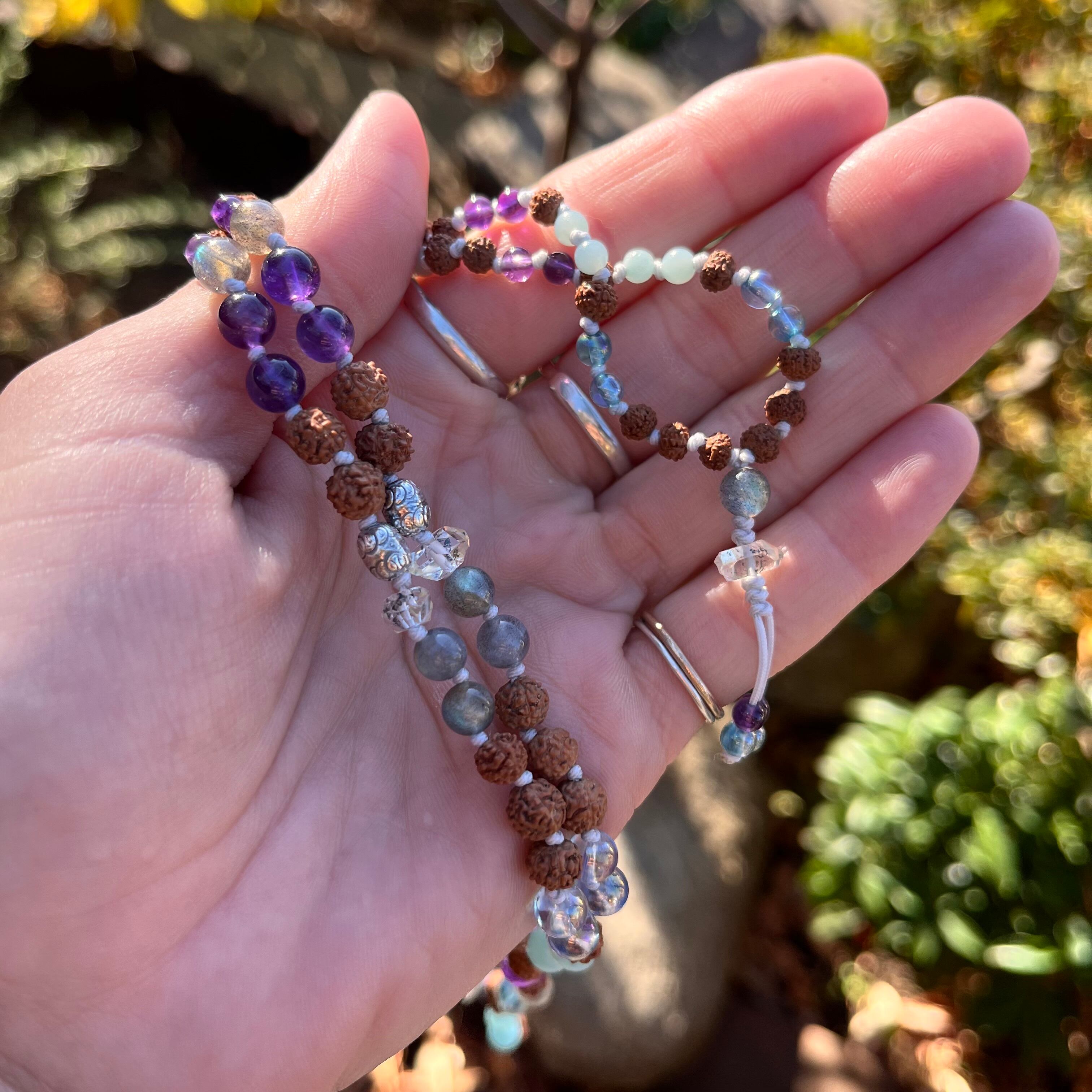 「アネモネ・ギャラクシー・マラ 」Anemone galaxy mala