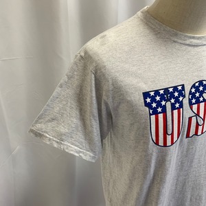 7195  anvil Tシャツ USA ロゴ 星条旗 L