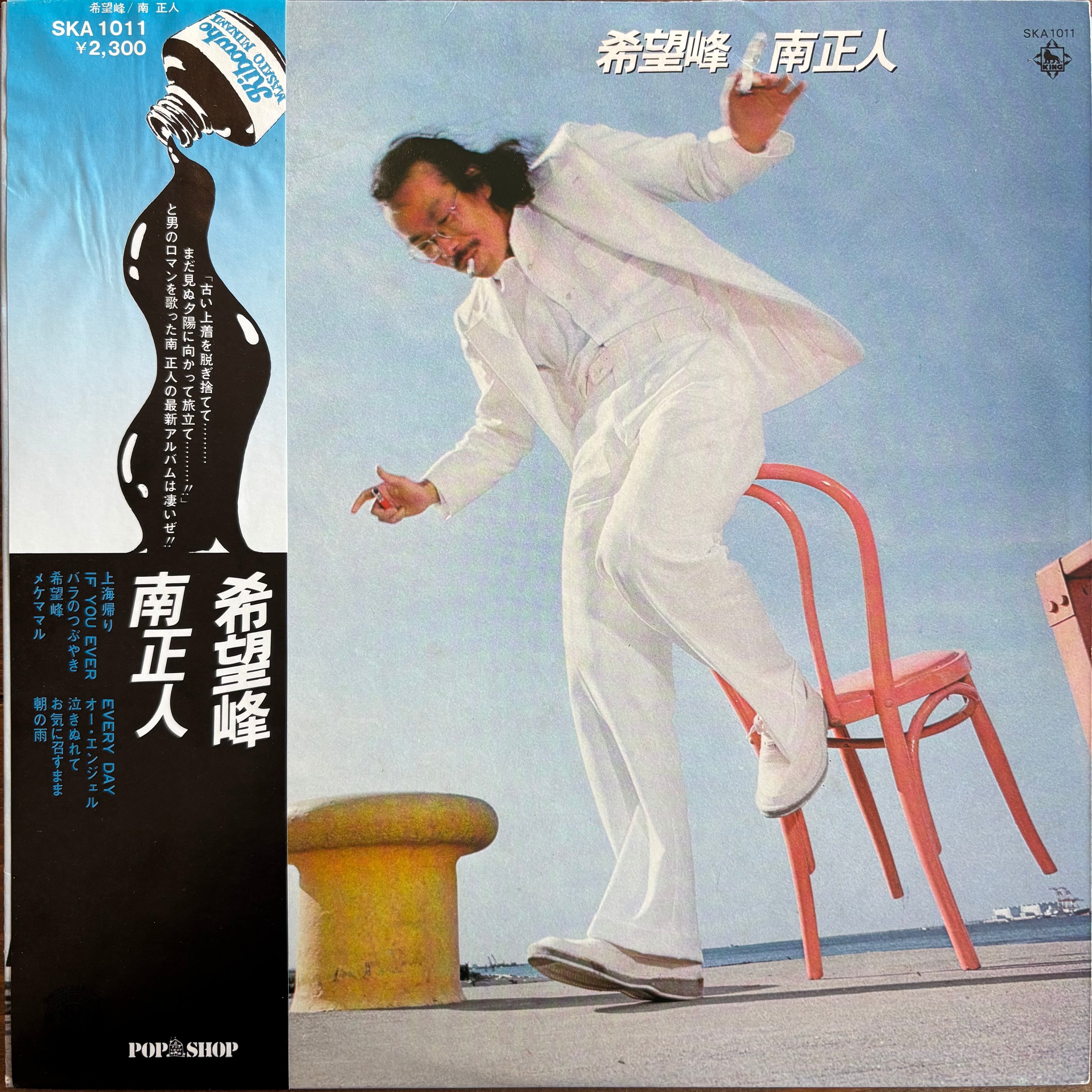 新居昭乃 　 懐かしい未来　　LPレコード　オリジナル 新居昭乃 / 懐かしい未来 | PASSTIME RECORDS / パスタイム レコード
