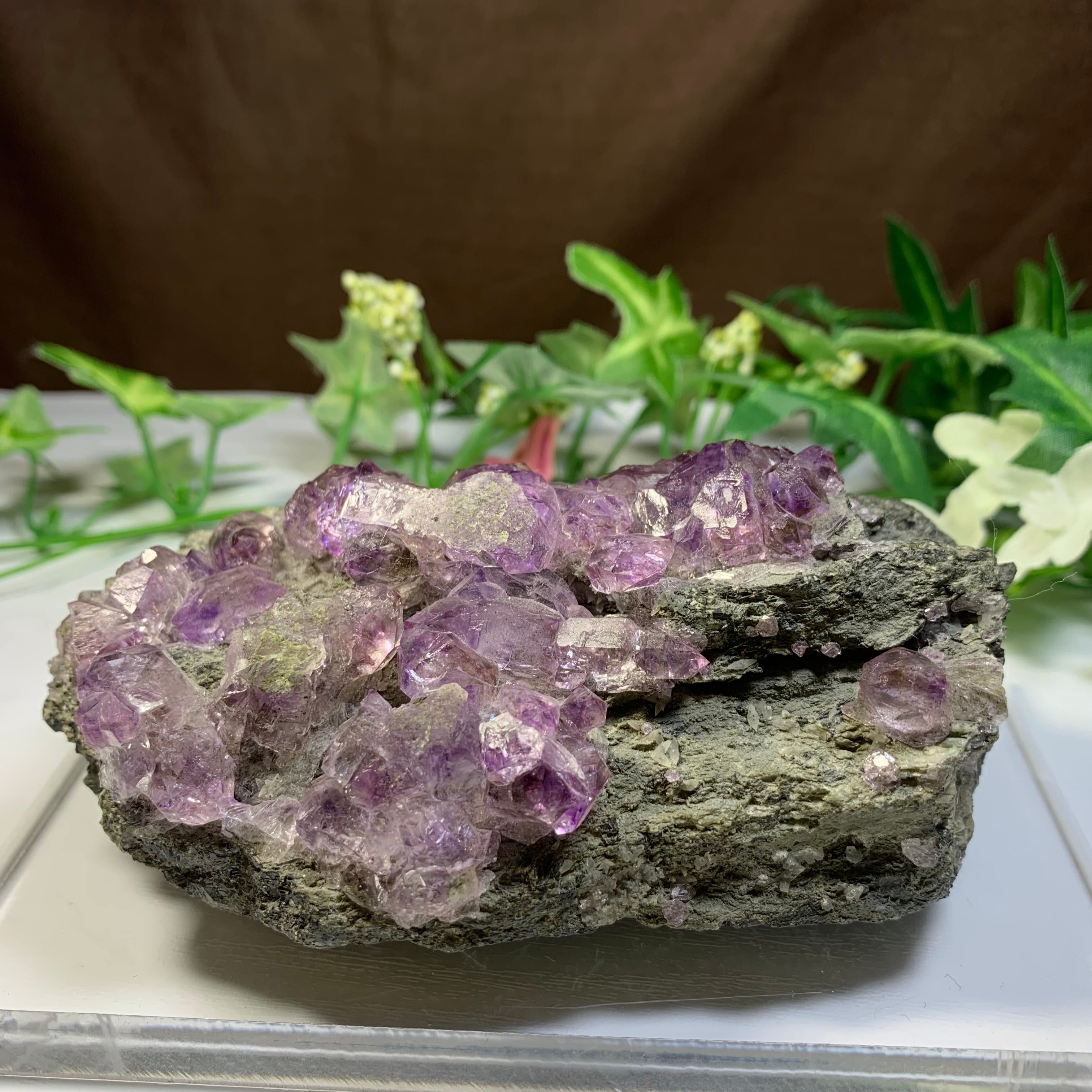 マハラシュトラ産アメジストクラスター×フローライトハリネズミ