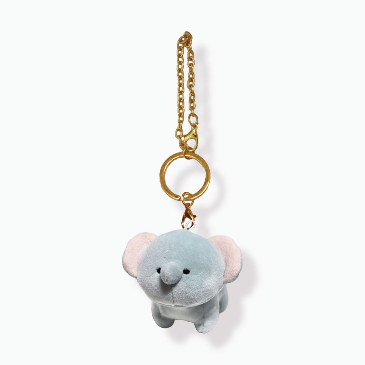 ゾウすき様 ゾウ | ACCENT STORE