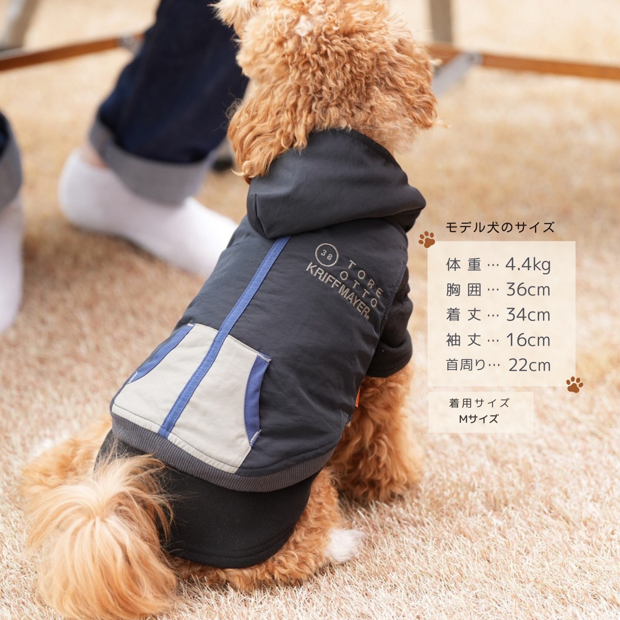 DOGひっくりベスト（BLACK） | 38explore