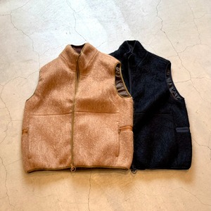 EEL Products  ELECTICITY COUNTRY (エレキカントリー)