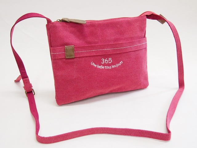 ロゴ刺繍がかわいいコンパクトキャンバスバッグ エンブロイダリーセパレートスクエアショルダー