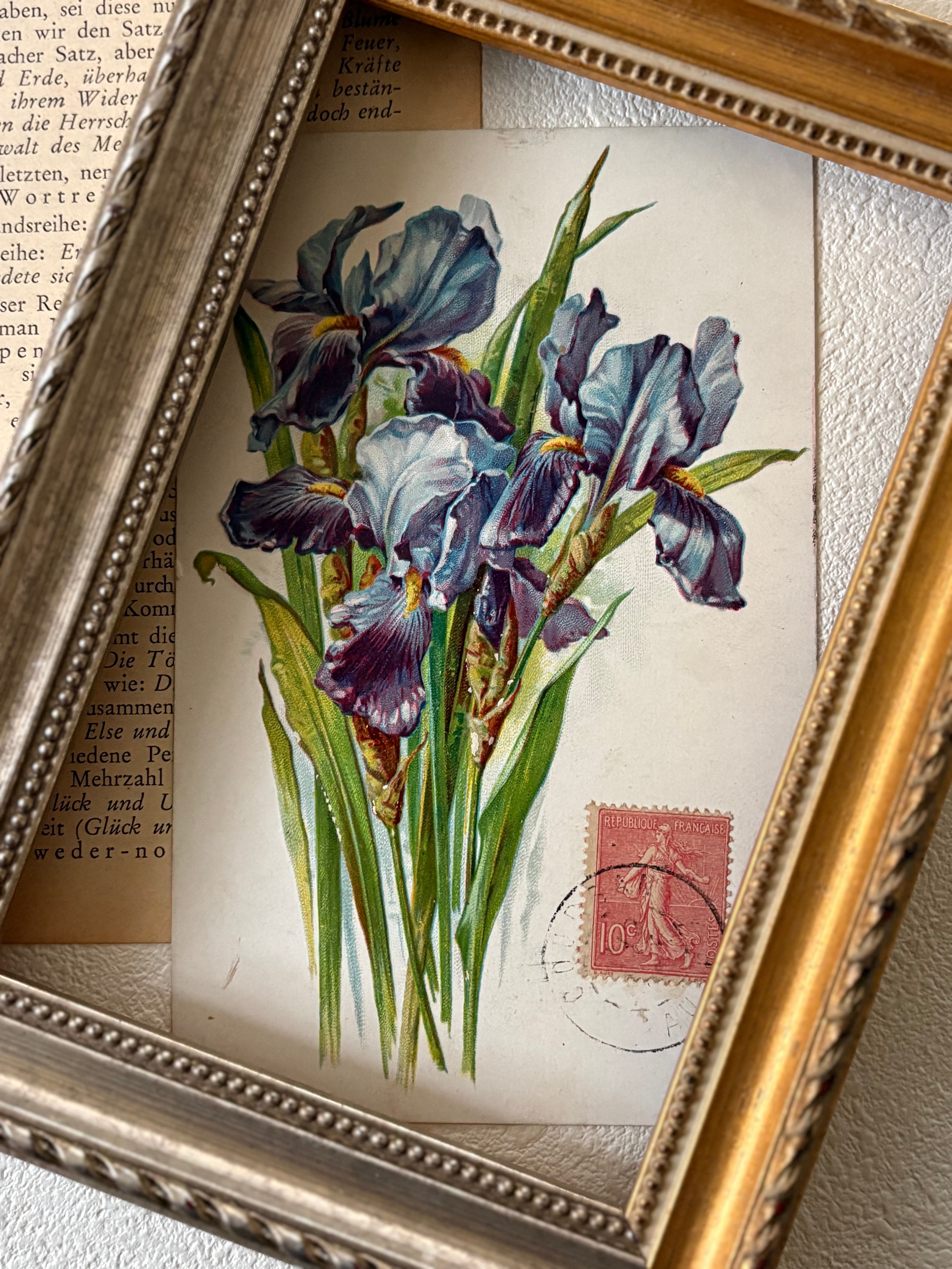 アンティークポストカード iris アイリス 菖蒲 エンボス フラワー フランス 額装 インテリア