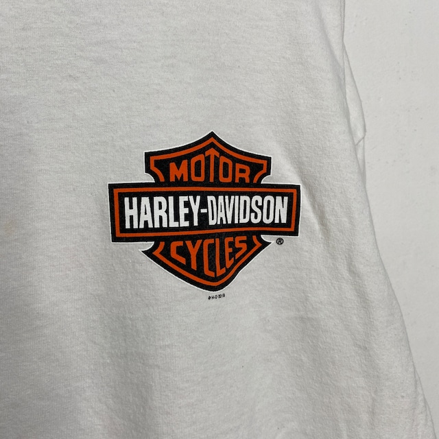 HARLEY-DAVIDSON ロゴロンT 袖プリバックプリント長袖Tシャツ