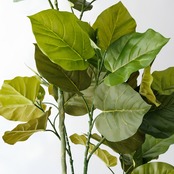 ウンベラータ 165㎝［人工観葉植物・フェイクグリーンT］