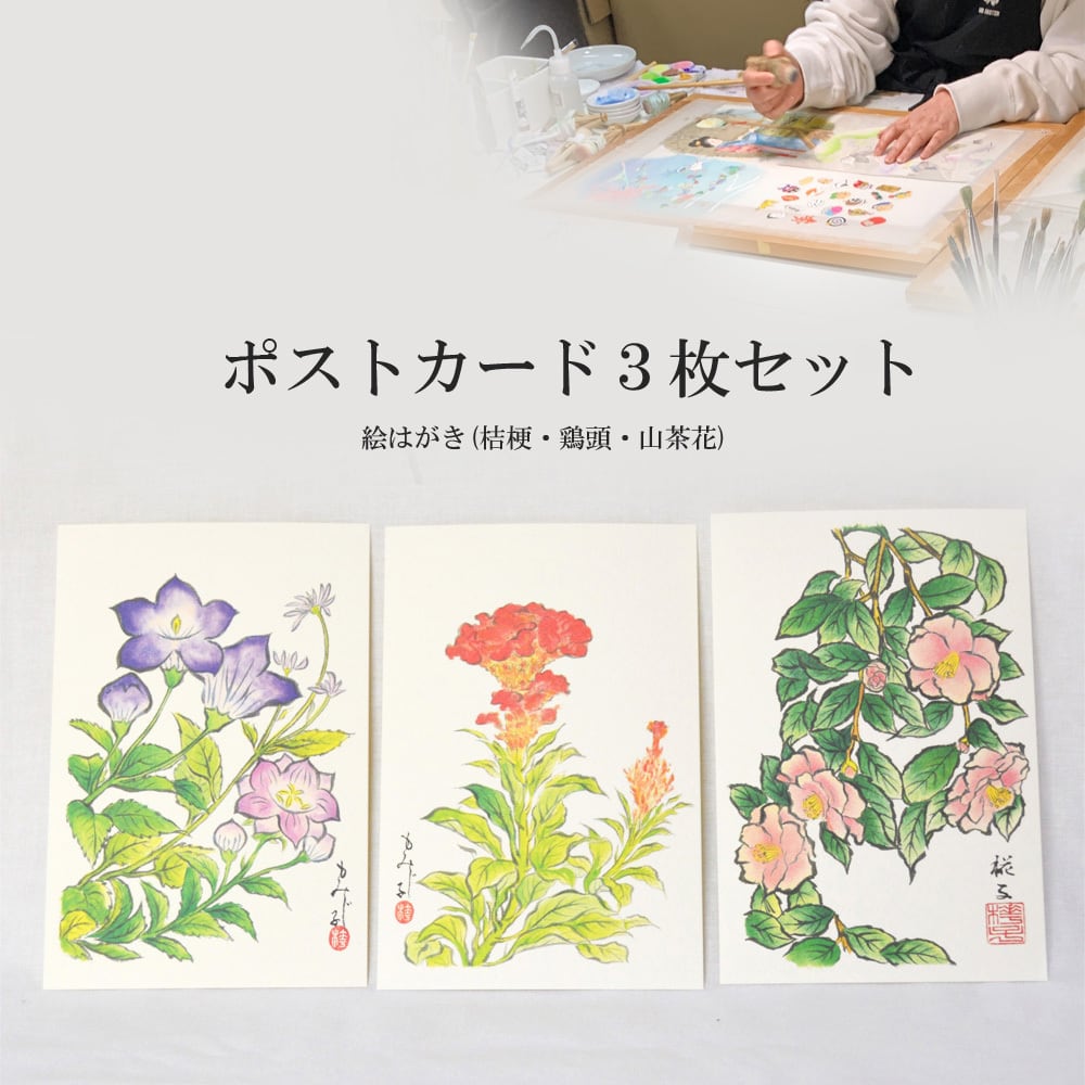 ポストカード 3枚セット【E】 桔梗・鶏頭・山茶花／絵はがき／挨拶