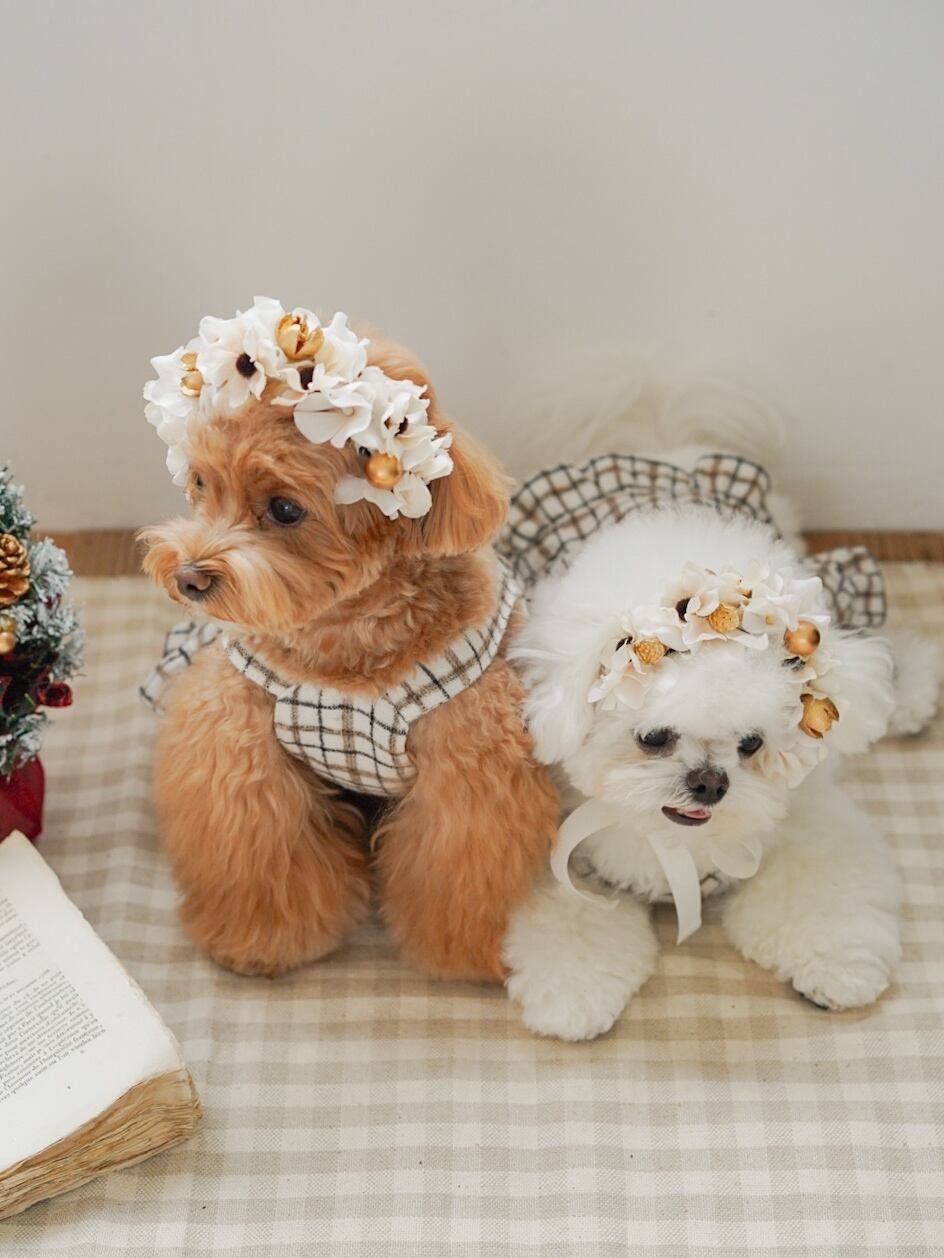 〈予約アイテム〉Drops Flora Crown - Christmas ver. White